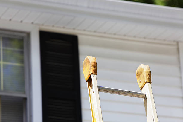 Best Siding Maintenance  in USA